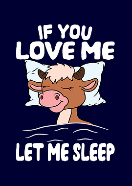 Love Me Let Me Sleep