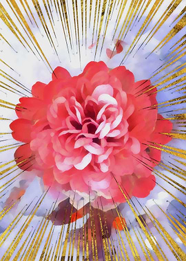 Coral Dahlia with golden a