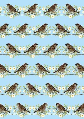 Sparrows