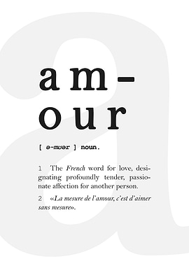 Amour Art Definition