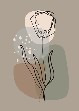 Cute Spring rose flower