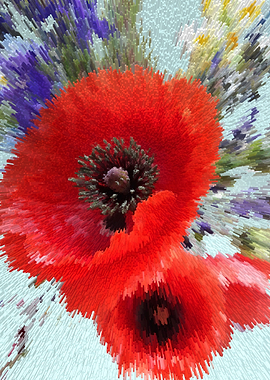 Poppy summer arrangement