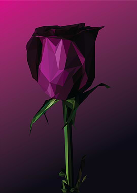purple roses
