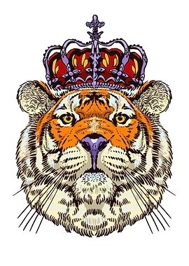 Tiger the King