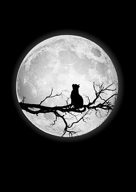 Moon Full Moon Cat