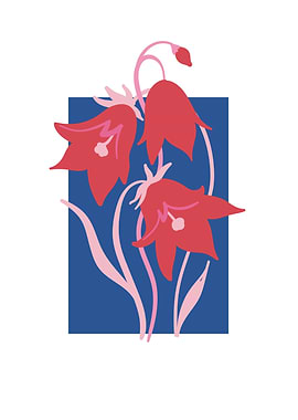 Botanical colorful floral