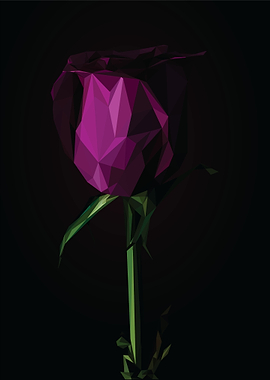 purple roses