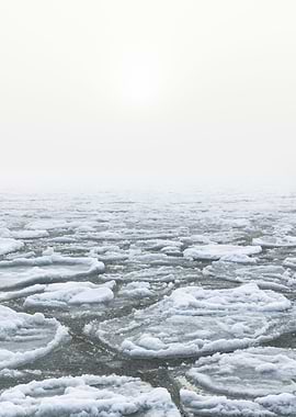 Ice pans in the fog