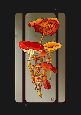 Magic Mushrooms