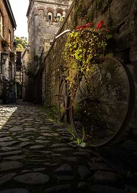 Bike on Durbuy