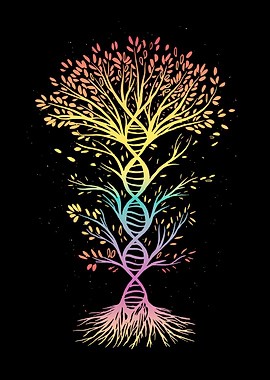 Colorful DNA tree of life