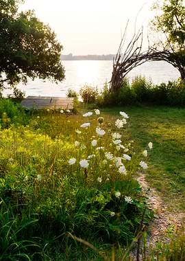 Green Road to Paradise