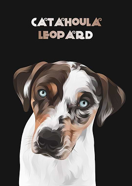 Catahoula Leopard