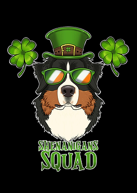 Bernese Mountain Dog