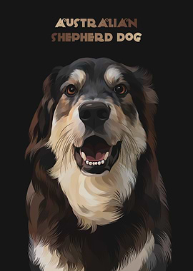 australian shepherd dog 2