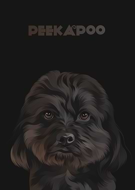 Peekapoo
