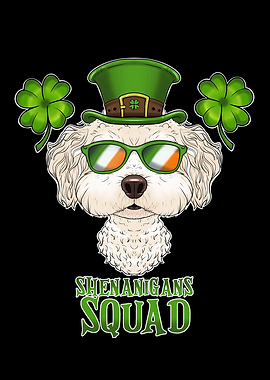 Bichon Frise St Patrick