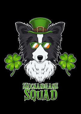 Border Collie St Patricks