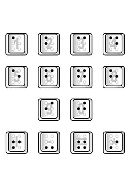 Braille Computer Numbers