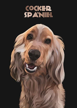 Cocker Spaniel 2