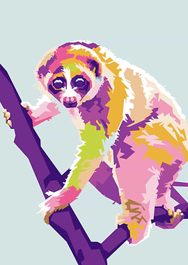 Slow Loris in Colorful