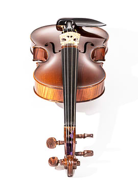 violin