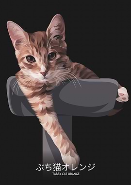 tabby cat orange