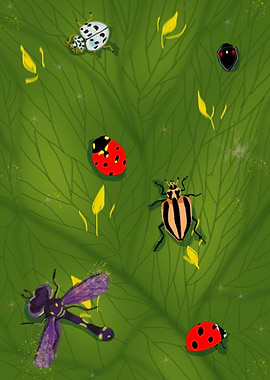 Lady bug and her friends