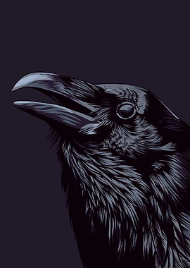 raven pop art