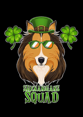 Collie St Patricks Day