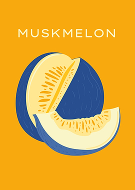 Muskmelon botanical fruit