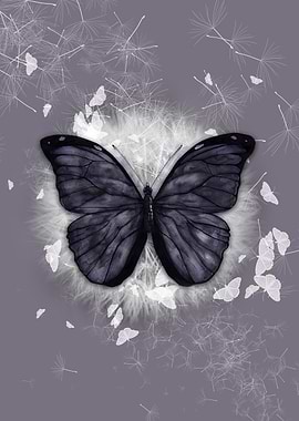 Black butterfly