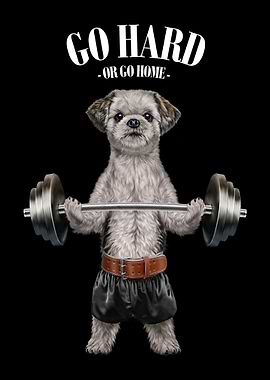 Shih Tzu Dog Weightlifting
