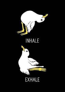 Seagull Yoga