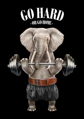 Elephant Weightlifting