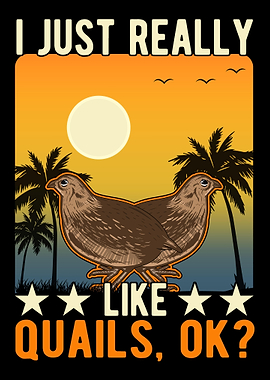 I Just Really Like Quails