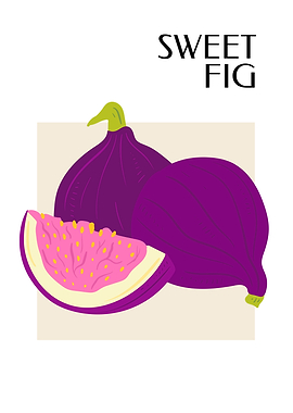 Sweet Fig botanical fruit