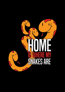 Cute Snake Snakes Pet Gift