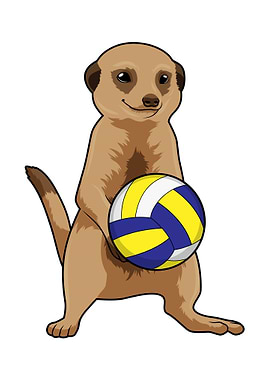 Meerkat Volleyball Sports