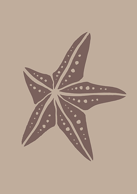 Starfish sea animals ocean