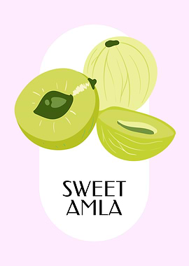 Amla Nature botanical art