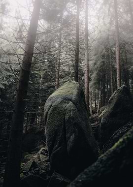 Epic rock in the woods