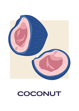 Coconut nature home decor