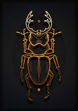 Insect Beetle animals
