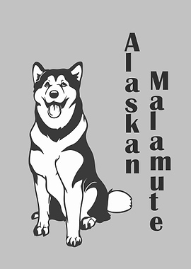 Alaskan Malamute