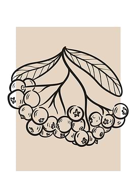 Vintage botanical flowers