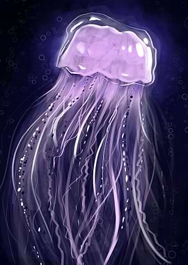 jellyfish