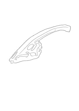 Dinosaurier Fossil Skelett