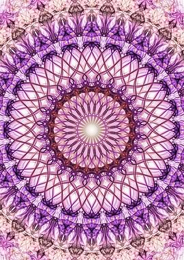 Violet and red mandala
