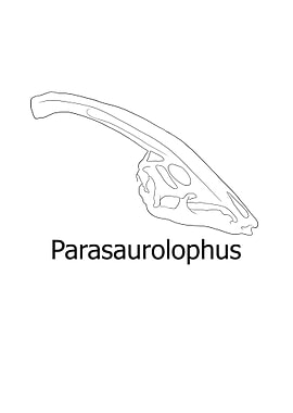 Dinosaurier Fossil Skelett